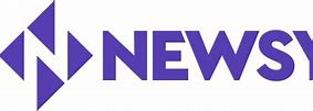 Image result for newsy