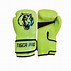 Image result for 10 Oz Pro Boxing Gloves