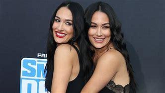 Image result for Brie and Nikki Bella Drinking Wine