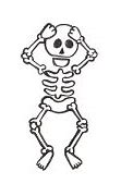 Image result for Skeleton Cartoon Tumbs Up