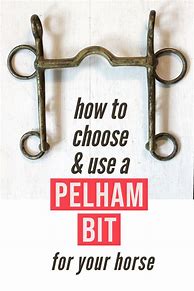 Image result for Pelham Bit