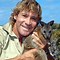 Image result for  Steve Irwin