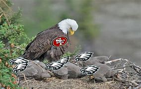 Image result for 49ers Eagles Meme