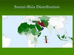 Image result for Shia and Sunni Population in World