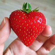 Image result for hearts shape fruit