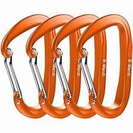 Image result for Stainless Steel Clips and Snaps Carabiners