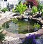 Image result for Simple Pond