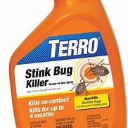 Image result for Stink Bug Spray