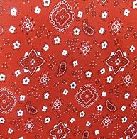 Image result for Bandana Fabric by the Yard