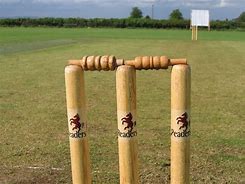 Image result for Drop Up Cricket for Kids