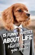 Image result for funny quotations about life