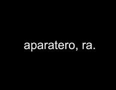 Image result for aparatero