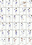 Image result for What Are Some Karate Moves