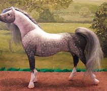 Image result for Silver Arabian Horse