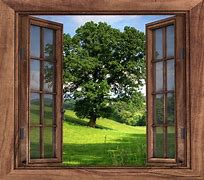 Image result for finestra