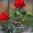 Image result for Good Morning Today Says It's Back