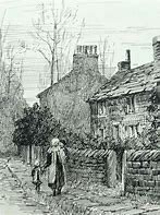 Image result for Vintage Pen and Ink Drawings