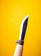 Image result for Reaching for Sharp Knife