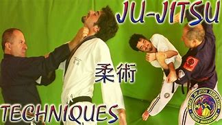 Image result for Jiu Jitsu Techniques