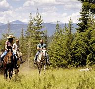 Image result for Aril Kick Ranch
