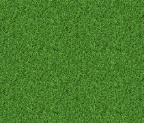 Image result for Small Grass Texture