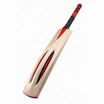 Image result for Cricket Practice Slim Bat
