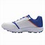 Image result for Leo Cricket Shoes