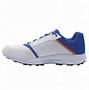Image result for Maxed Cricket Shoes