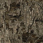 Image result for Realtree Timber Camo