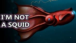Image result for Squid Up No Squid Neutral Daitus Squid