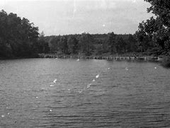 Image result for Krasne Lake