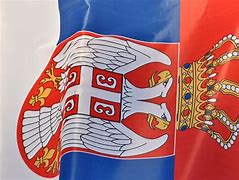 Image result for Party of Serbian Unity