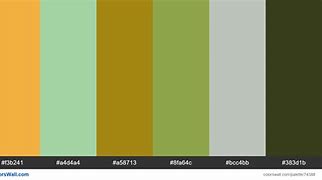 Image result for Website Color Schemes