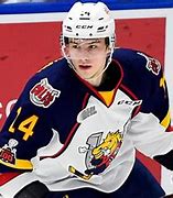 Image result for Andrei Svechnikov