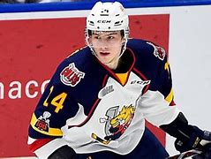 Image result for Andrei Svechnikov Arms