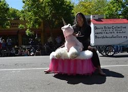 Image result for Show Me a Real Unicorn