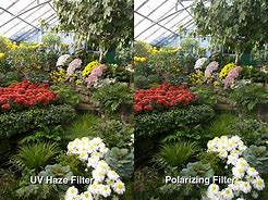 Image result for Camera Filters and Effects