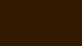 Image result for Dark Brown Solid Background