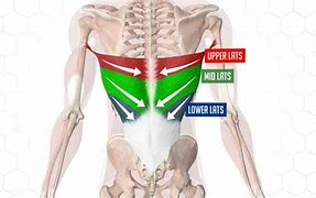 Image result for lat�simamemte
