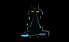 Image result for Drippy Cat Profile Picture