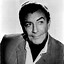 Image result for Robert Taylor Actor Late in Life