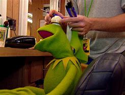 Image result for Kermit the Frog Swamp Years