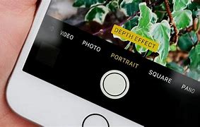 Image result for iPhone 7 Plus Camera Portrait