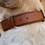 Image result for Apple Tag Dog Collar Holder