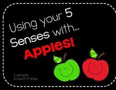Image result for Fall Five Senses Apple
