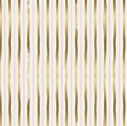 Image result for Gold Stripe