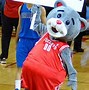 Image result for Best Mascots