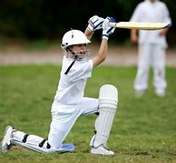 Image result for Cricket