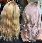 Image result for How to Use Hair Toner