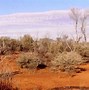 Image result for Vic Big Desert
